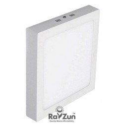 RayZun 9 Watts LED Surface Light (Square)